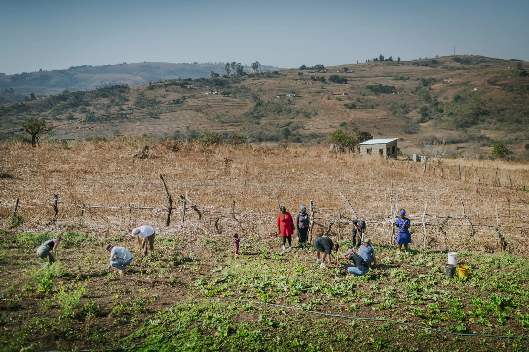 Community members working together in the field
